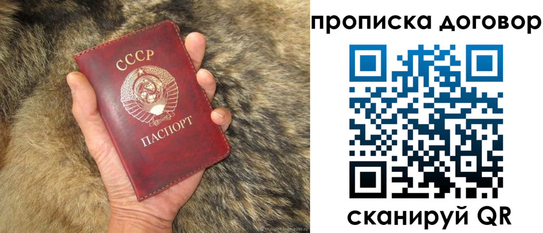прописка регистрация в Ростовской области